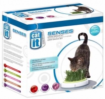 CAT IT SENSES - GRASS GARDEN